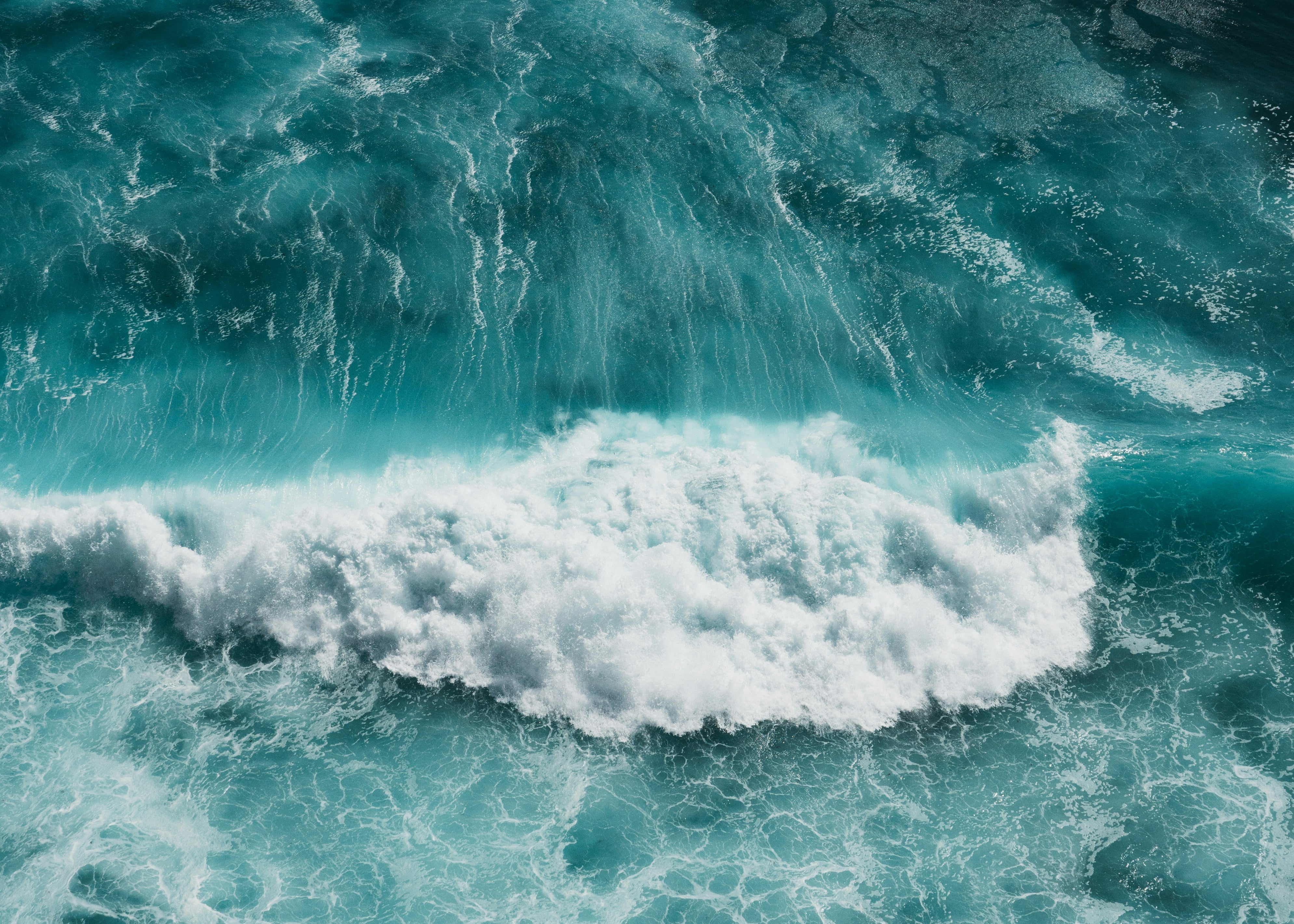 polina-kuzovkova-uf2JJNgYp4A-unsplash_f4988a00-4ee4-4533-a0f1-602b760193a3.jpg
